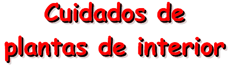 Plantas de interior